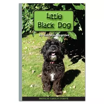 Little Black Dog cover