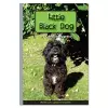 Little Black Dog cover