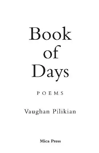 Book of Days cover