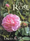 The Rose cover