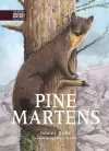 Pine Martens cover