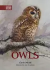 Owls cover