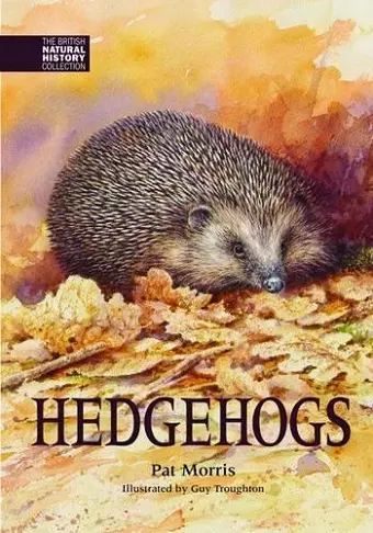 Hedgehogs cover