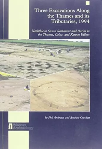 Three Excavations along the Thames and its Tributaries, 1994 cover