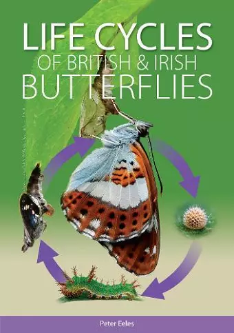Life Cycles of British and Irish Butterflies cover