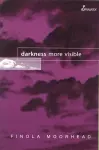 Darkness More Visible cover