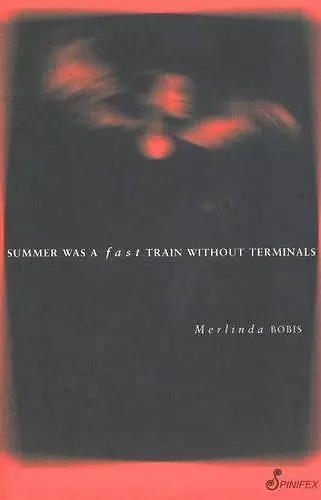 Summer was a Fast Train without Terminals cover