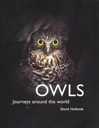 Owls:Journeys Around the World cover