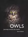 Owls:Journeys Around the World cover