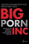 Big Porn Inc cover