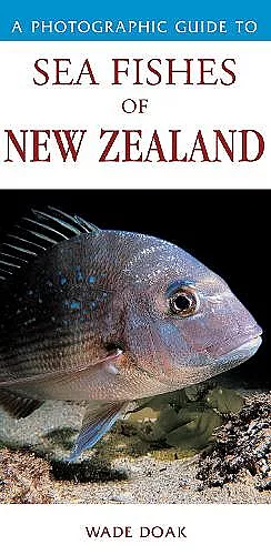 Photographic Guide To Sea Fishes Of New Zealand cover