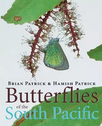 Butterflies of the South Pacific cover