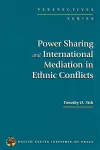 Power Sharing and International Mediation in Ethnic Conflicts cover