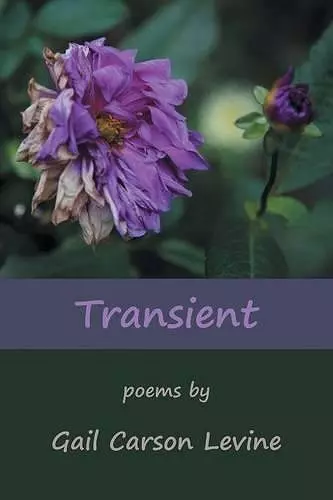 Transient cover