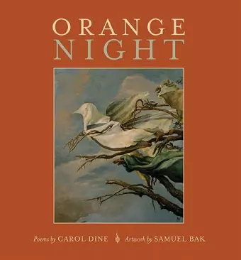 Orange Night cover