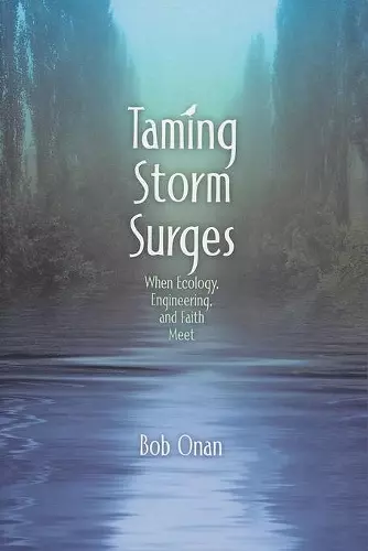 Taming Storm Surges cover