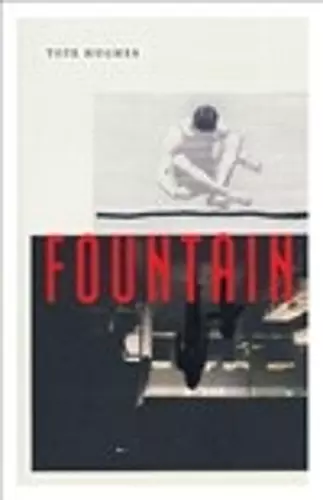 Fountain cover