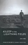 Asleep in the Lightning Fields cover