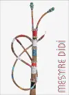 Mestre Didi: Spiritual Form cover