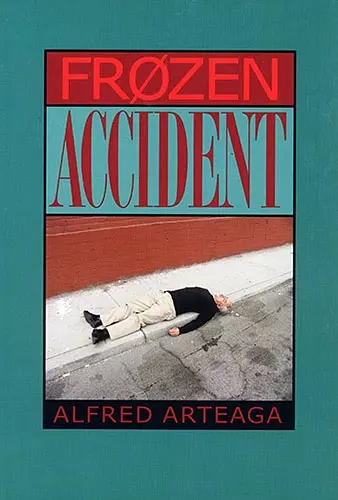 Frozen Accident cover