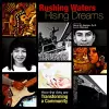 Rushing Waters, Rising Dreams cover