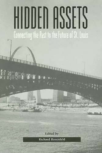 Hidden Assets cover