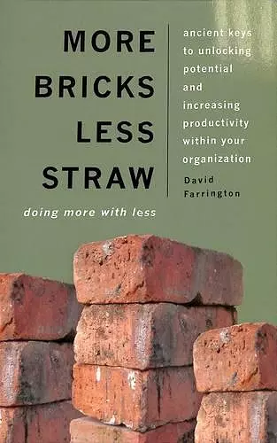 More Bricks Less Straw cover