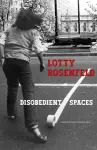 Lotty Rosenfeld cover