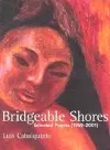 Bridgeable Shores cover