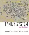 Family System cover