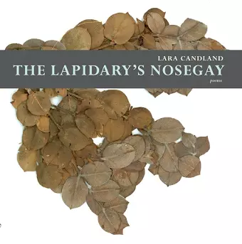 The Lapidary's Nosegay cover