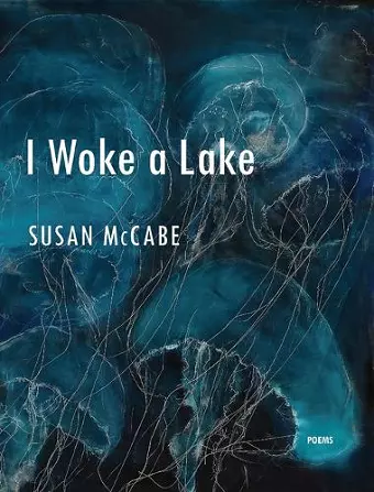 I Woke a Lake cover