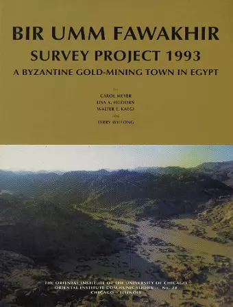 Bir Umm Fawakhir Survey Project 1993 cover