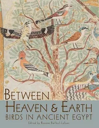 Between Heaven and Earth cover