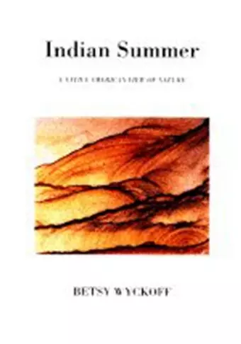 INDIAN SUMMER cover