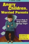 Angry Children, Worried Parents cover