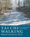 Tai Chi Walking cover