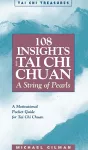 108 Insights into Tai Chi Chuan cover