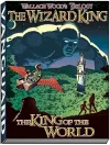 Wizard King Trilogy (book1 cover