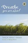 Breathe, You Are Alive cover
