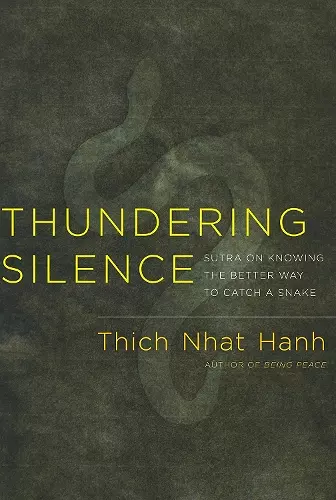 Thundering Silence cover