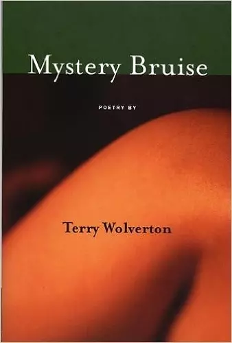 MYSTERY BRUISE cover