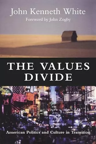 The Values Divide cover