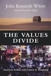 The Values Divide cover