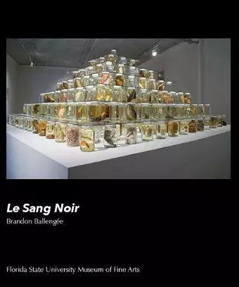 Le Sang Noir cover
