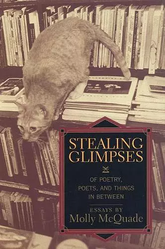 Stealing Glimpses cover