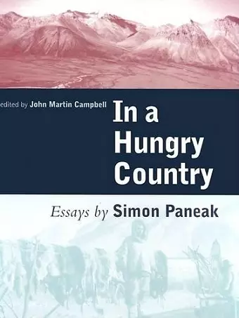 In a Hungry Country cover