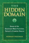 The Hidden Domain cover