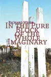 In the Pure Block of the Pure Imaginery cover