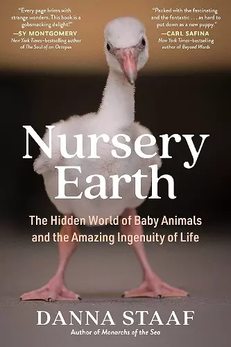 Nursery Earth cover